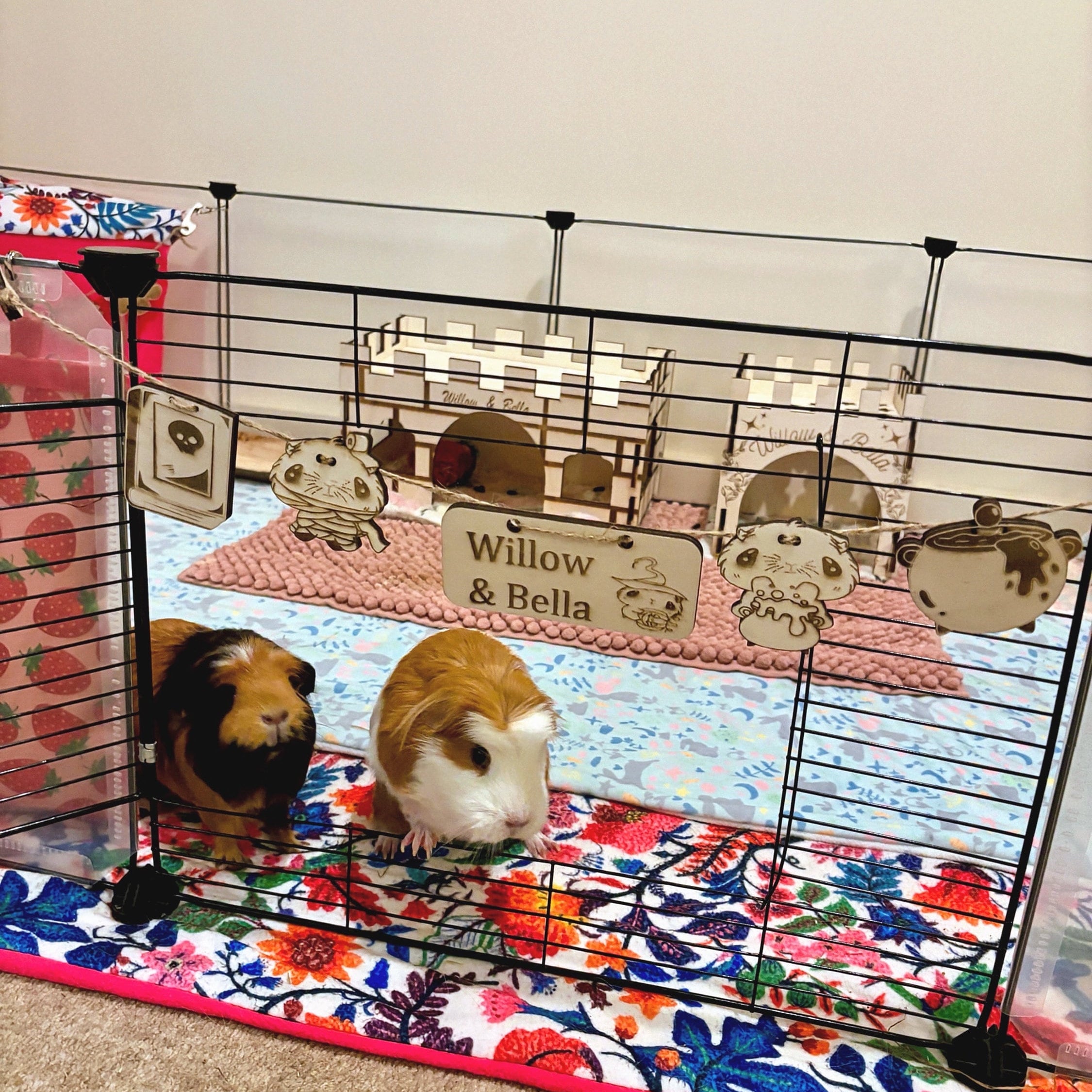 Halloween Personalised Guinea Pig Name sign Chew Toy & Decoration - Formaldehyde Free Plywood | Custom