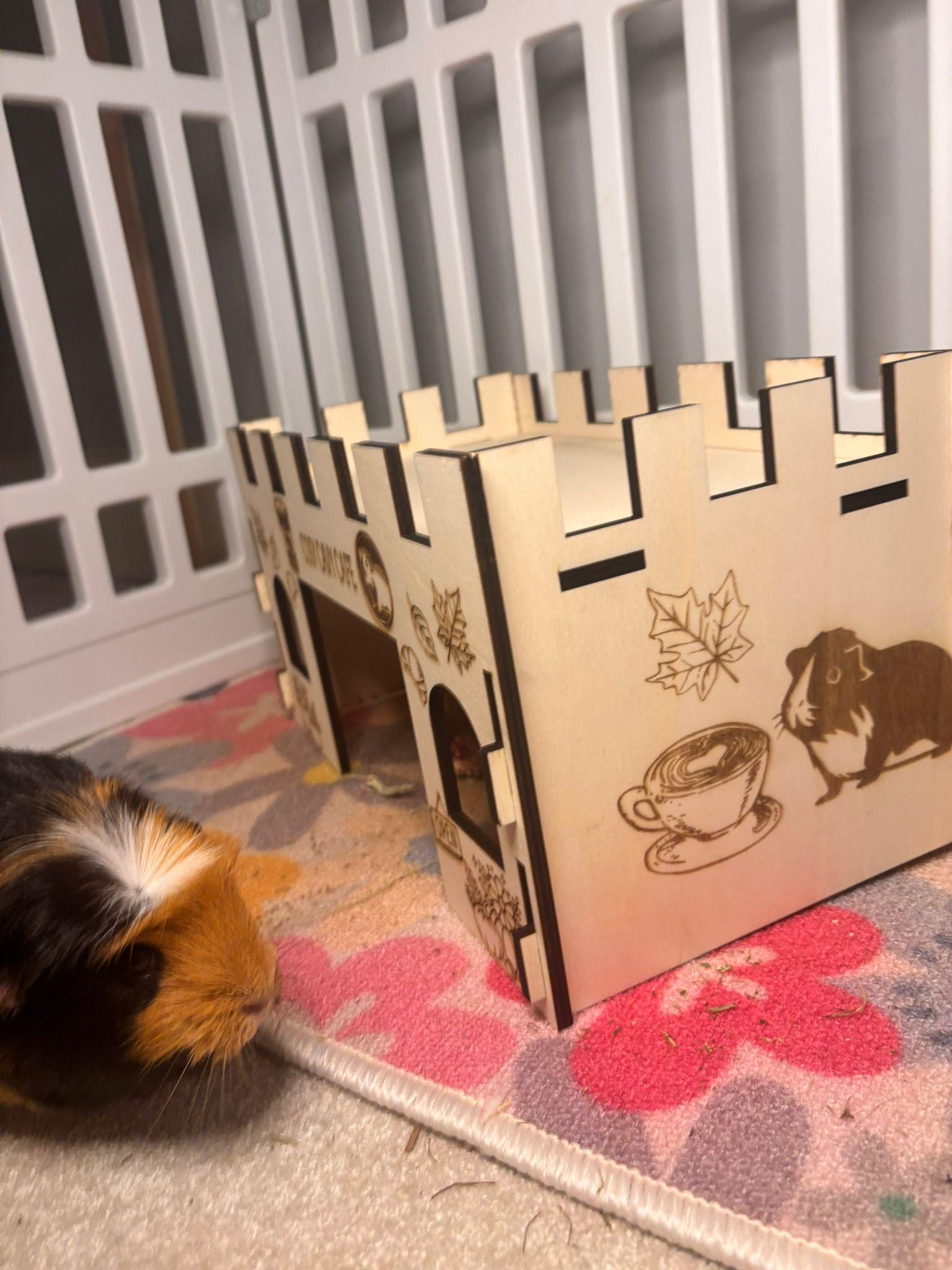 Guinea Pig Coffee Shop Hidey House - Formaldehyde Free, Non Toxic, Wooden, Slot Together & Modular