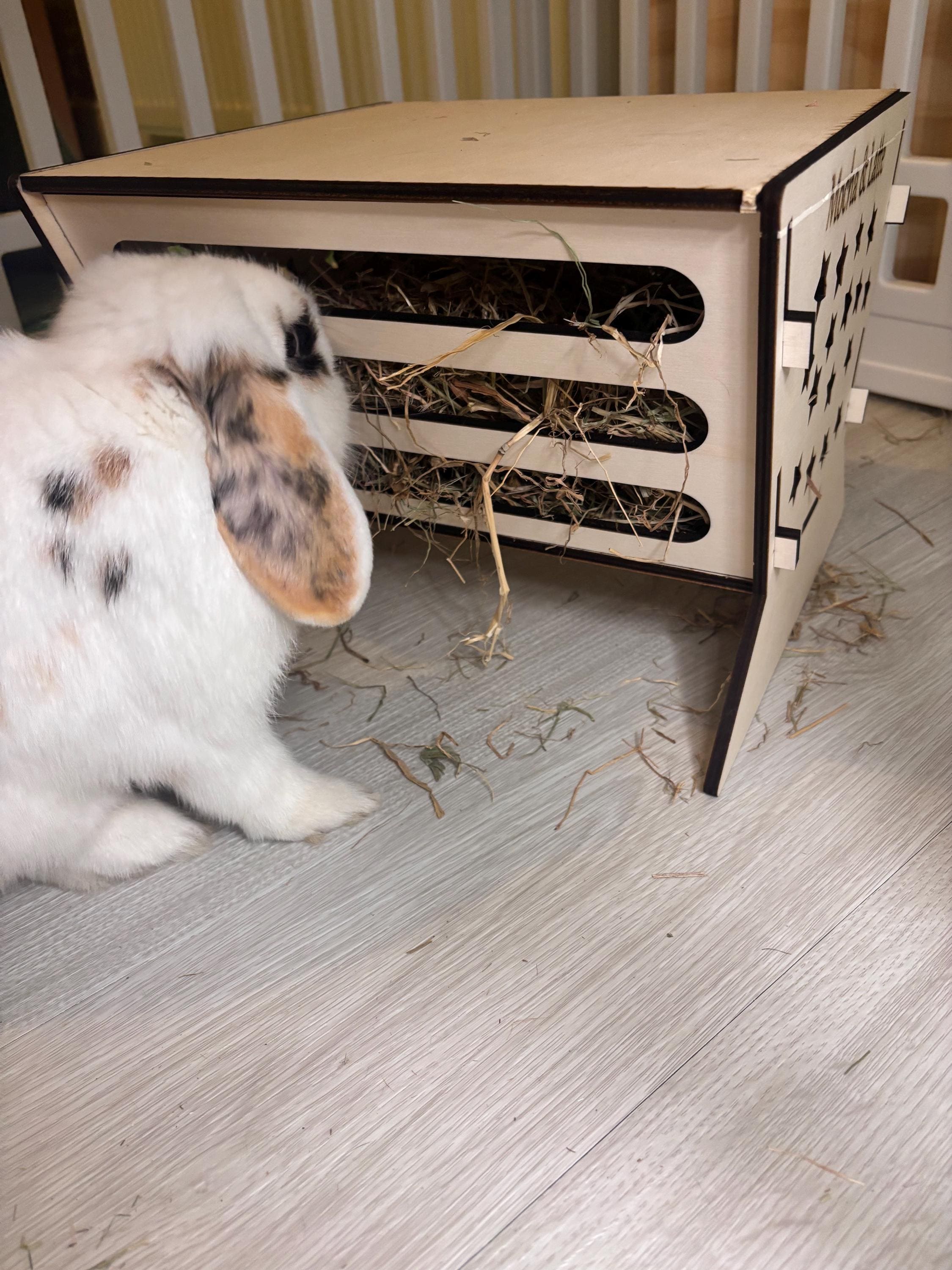 Rabbit Platform Hayfeeder Personalised with your rabbit's name