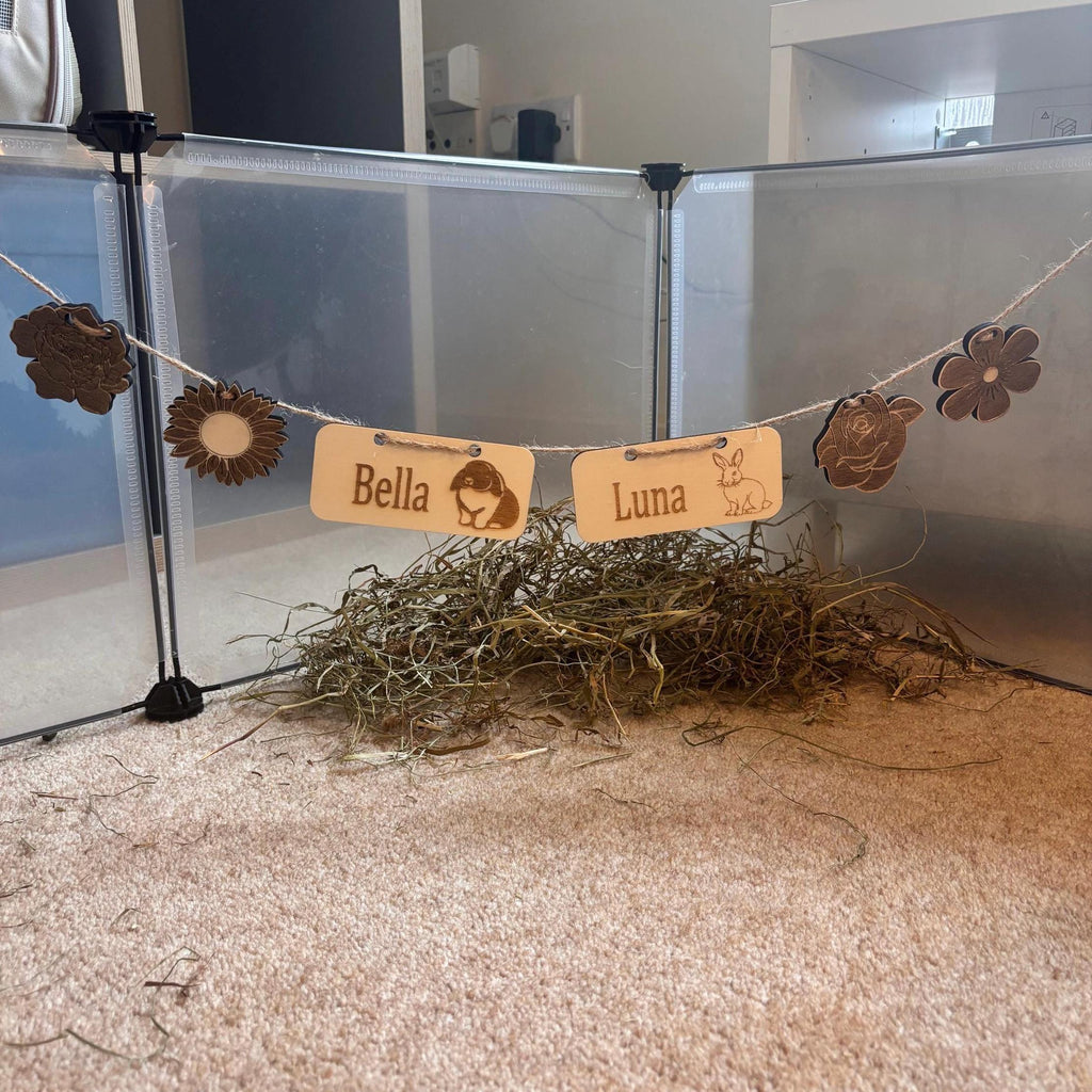 Personalized Rabbit Name sign & Cage Decoration - Formaldehyde Free Plywood | Custom