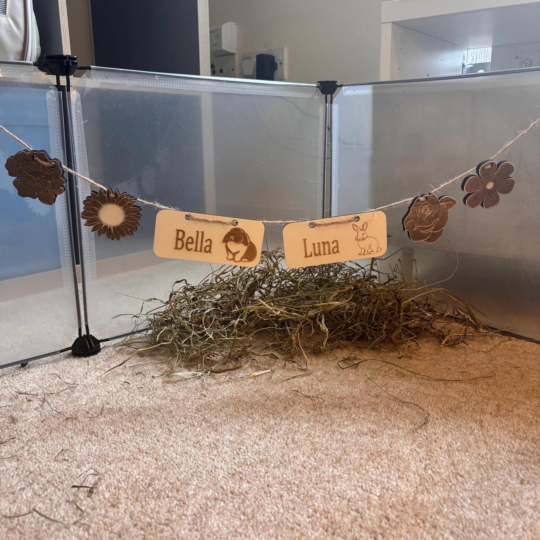 Personalized Rabbit Name sign & Cage Decoration - Formaldehyde Free Plywood | Custom