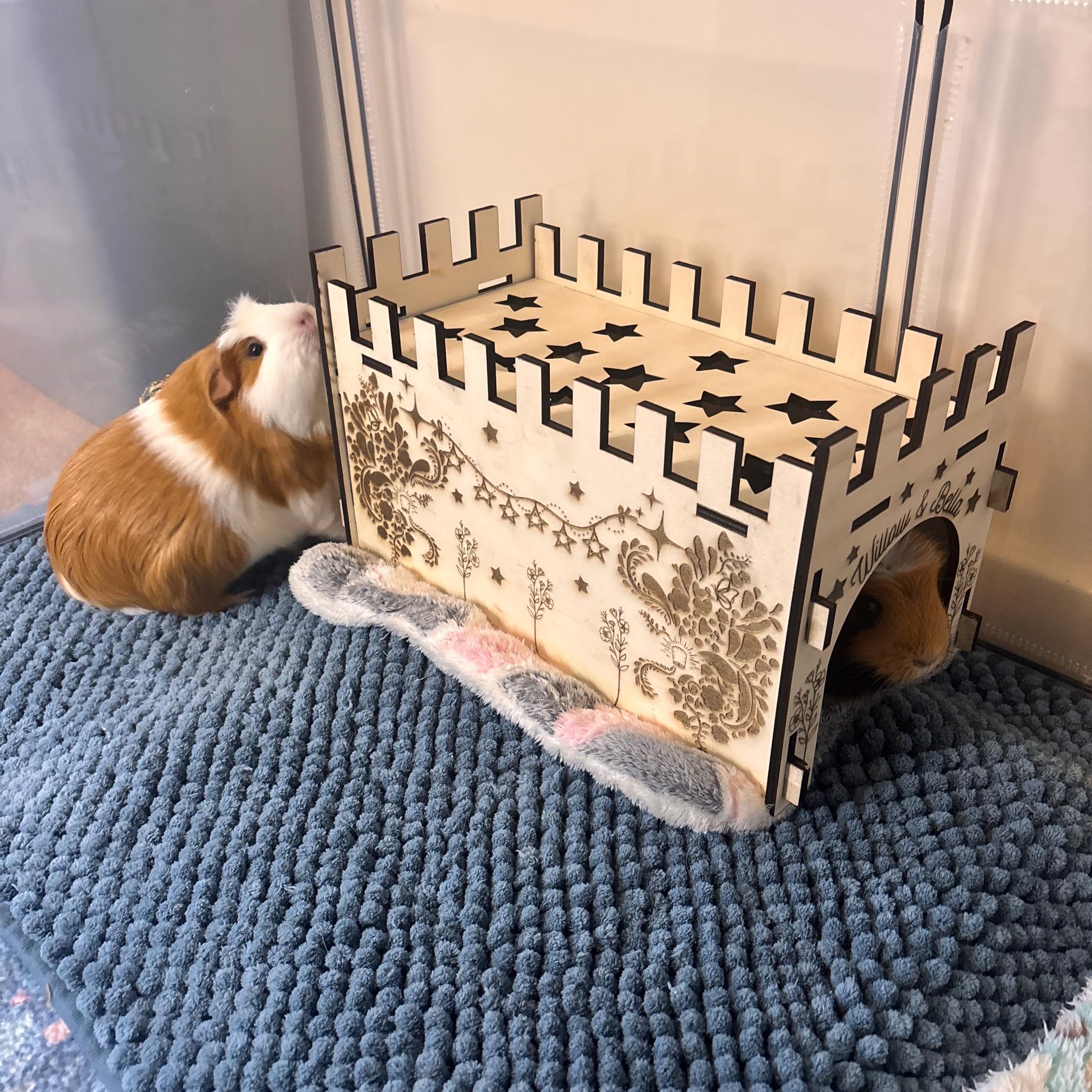 Guinea Pig Low Castle Kit Tunnel - Formaldehyde Free, Non Toxic, This Castle is personalised with your Animal name on the Front and side.