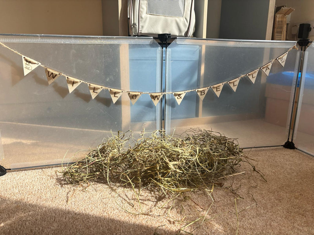 Rabbit Garland, Gift For Cavy Lover, Handmade Rabbit Banner, Rabbit name sign