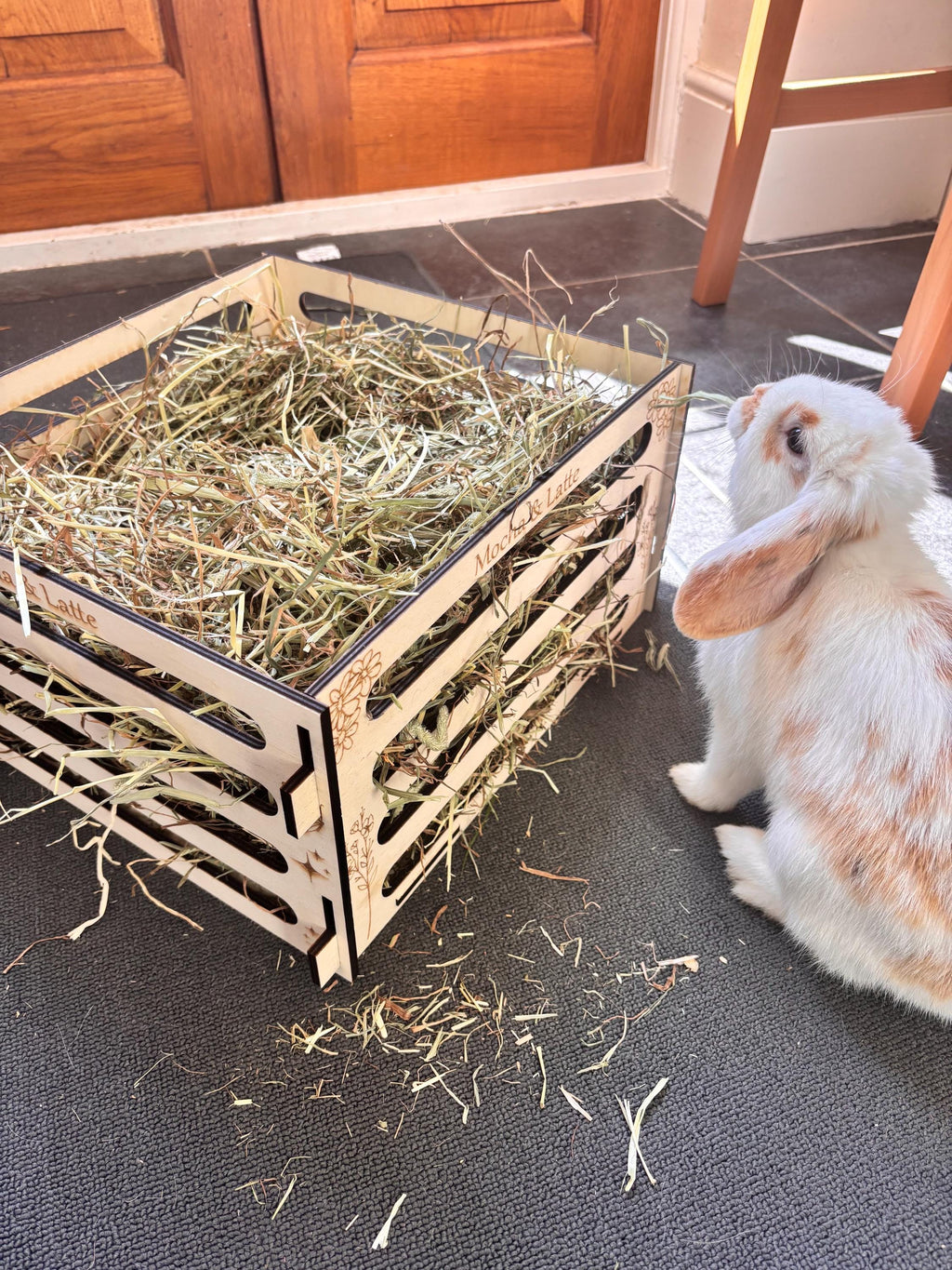 Personalised Rabbit and Guinea Pig Hay Feeder box with Pets' Names- Slot Together, Pet Safe Plywood