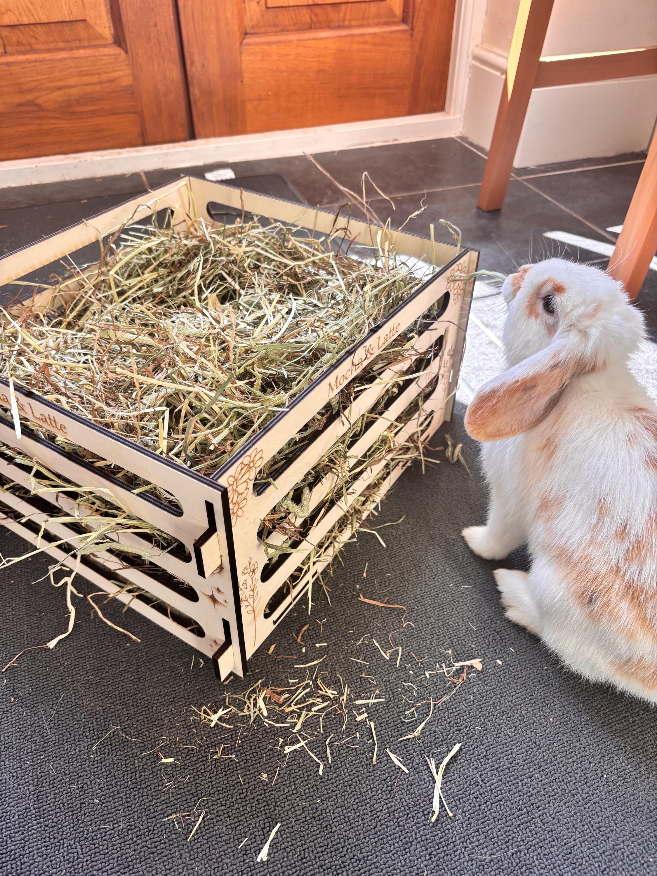 Personalised Rabbit and Guinea Pig Hay Feeder box with Pets' Names- Slot Together, Pet Safe Plywood