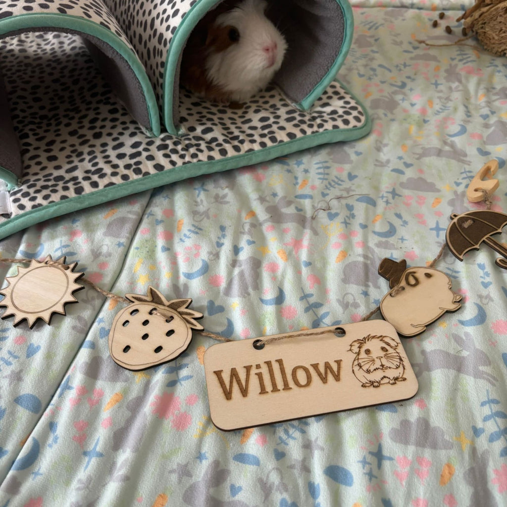 Personalized Guinea Pig Name sign & Chew Toy - Formaldehyde Free Plywood | Custom