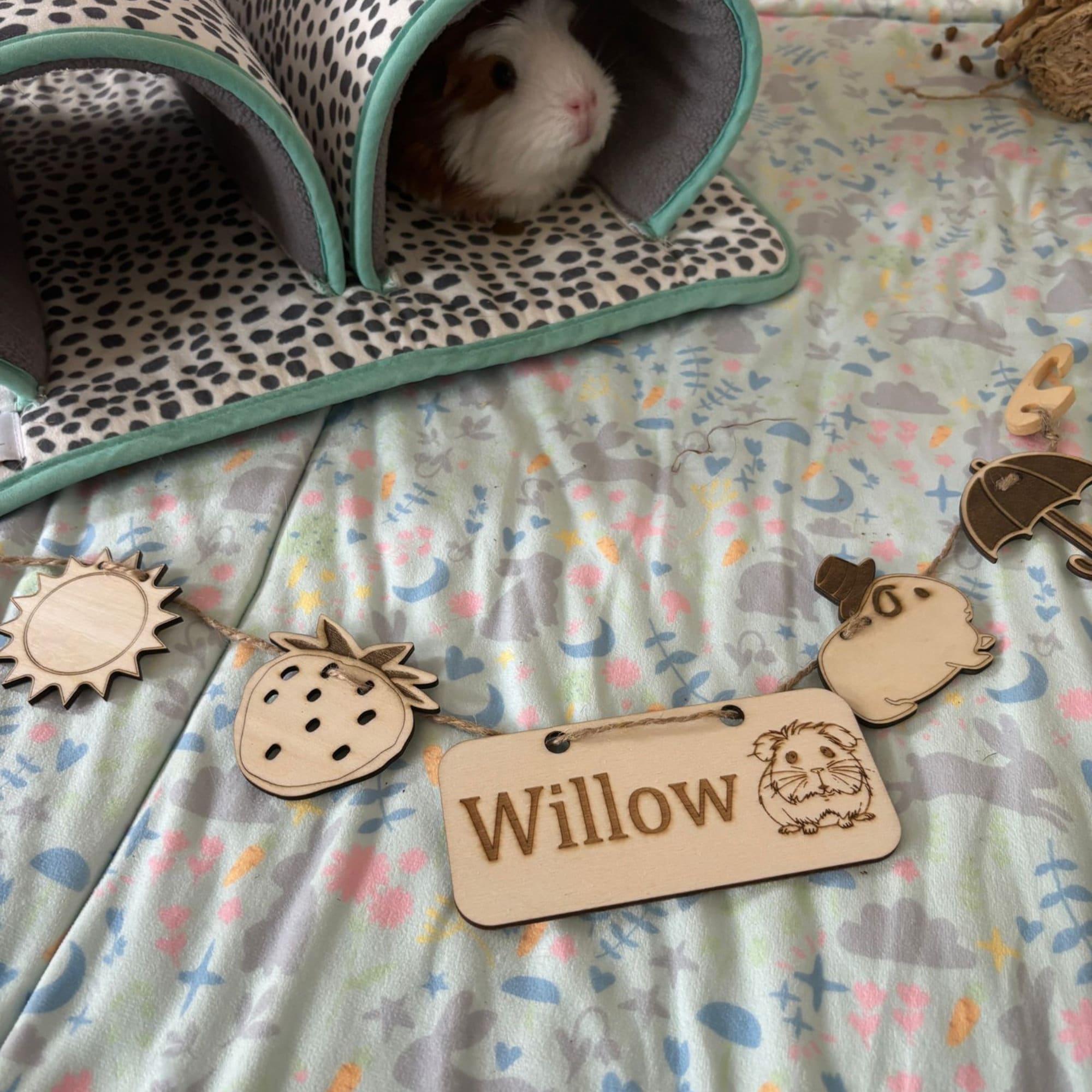 Personalized Guinea Pig Name sign & Chew Toy - Formaldehyde Free Plywood | Custom