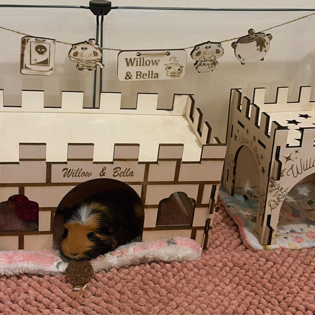 Halloween Personalised Guinea Pig Name sign Chew Toy & Decoration - Formaldehyde Free Plywood | Custom