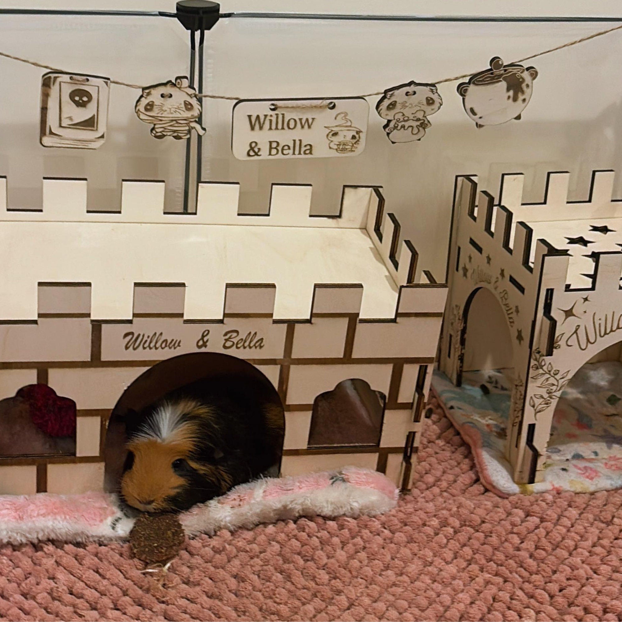 Halloween Personalised Guinea Pig Name sign Chew Toy & Decoration - Formaldehyde Free Plywood | Custom