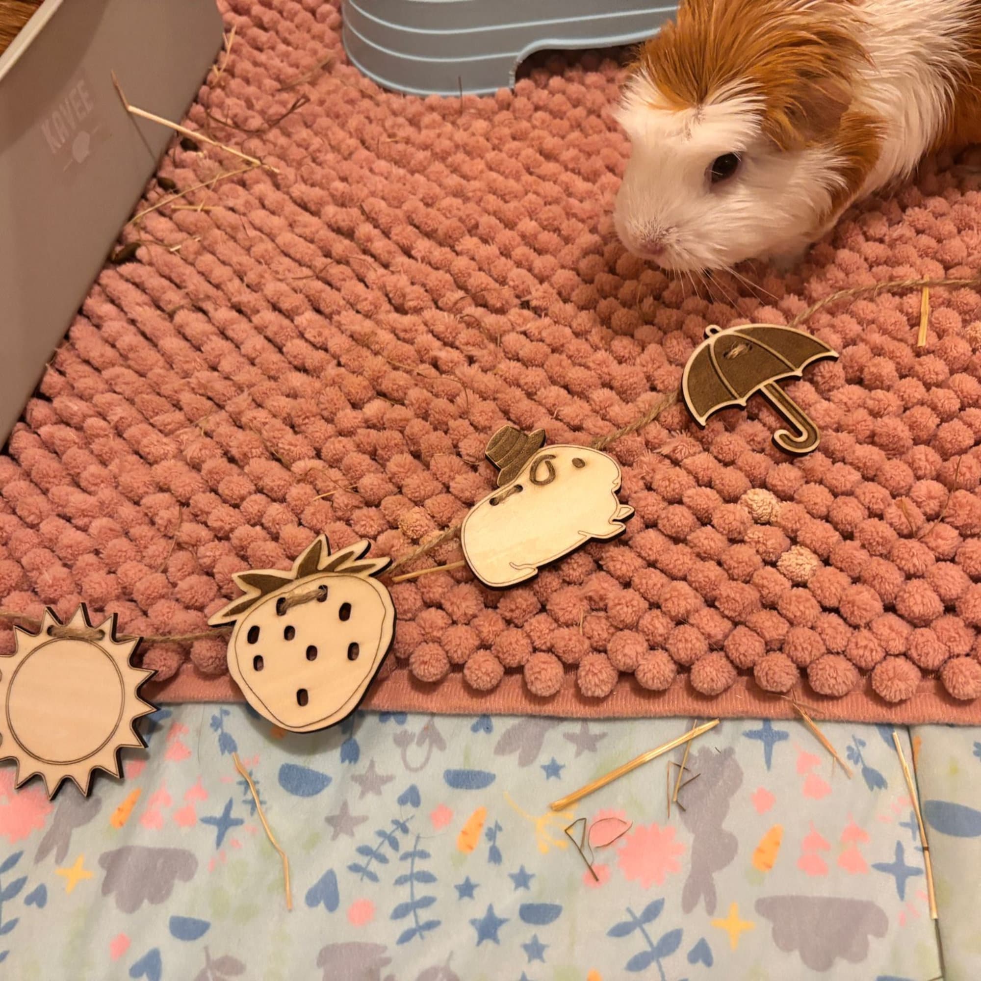 Personalized Guinea Pig Name sign & Chew Toy - Formaldehyde Free Plywood | Custom