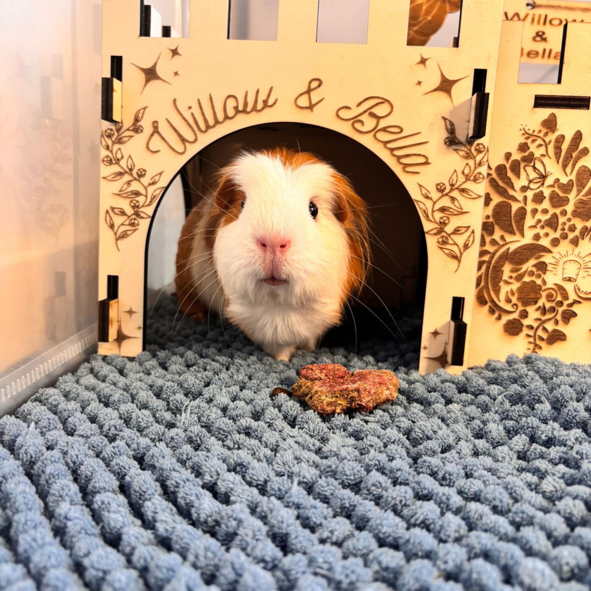 Guinea Pig Low Castle Kit - Formaldehyde Free, Non Toxic, This Castle is personalised with your Animal name on the Front and side.