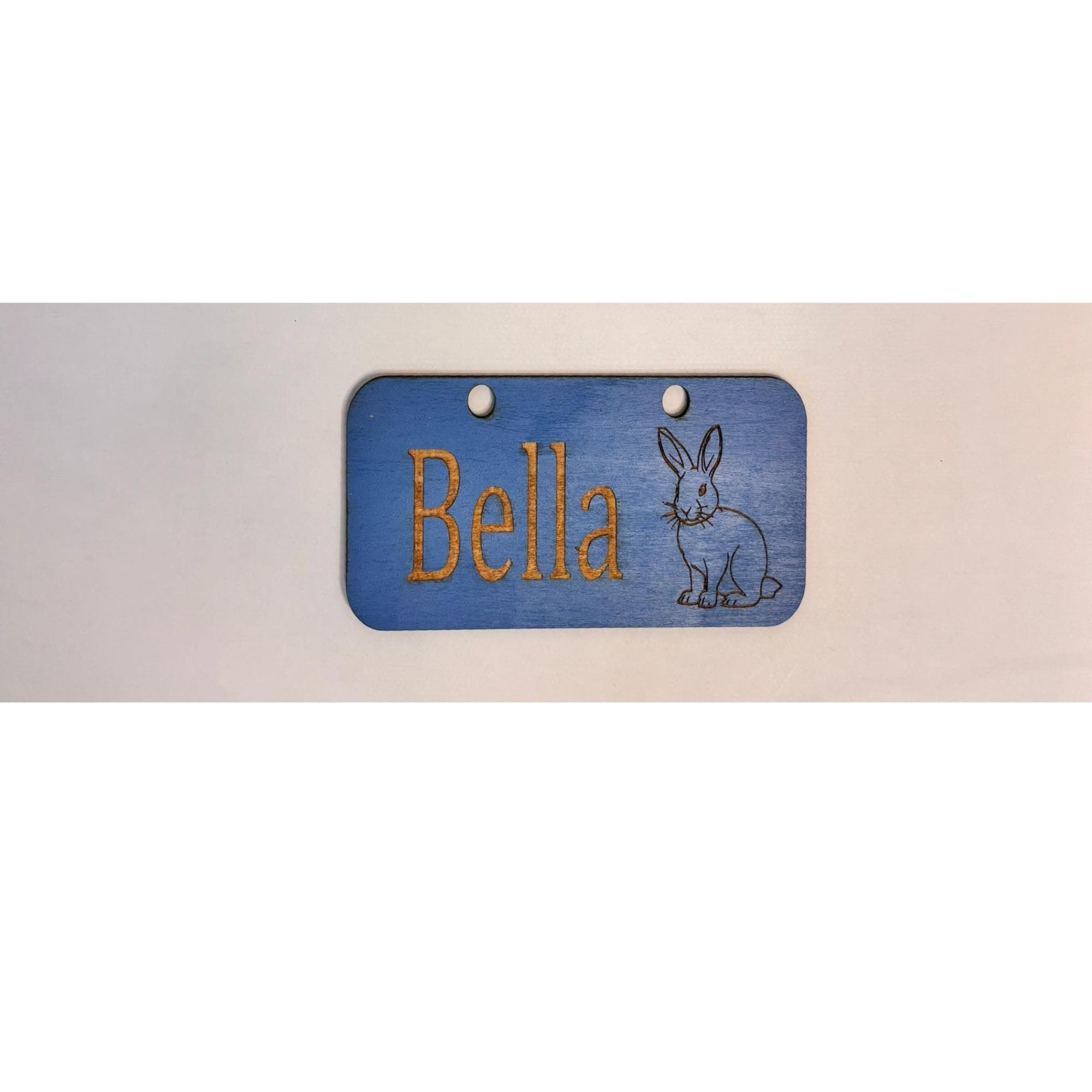 Personalized Rabbit sign & Cage Decoration - Formaldehyde Free Plywood | Custom