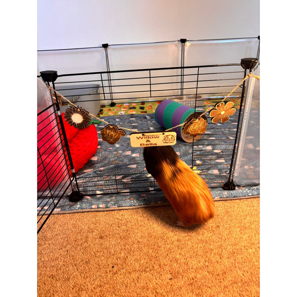 Personalized Guinea Pig and Rabbit Name sign & Cage Decoration - Formaldehyde Free Plywood | Custom