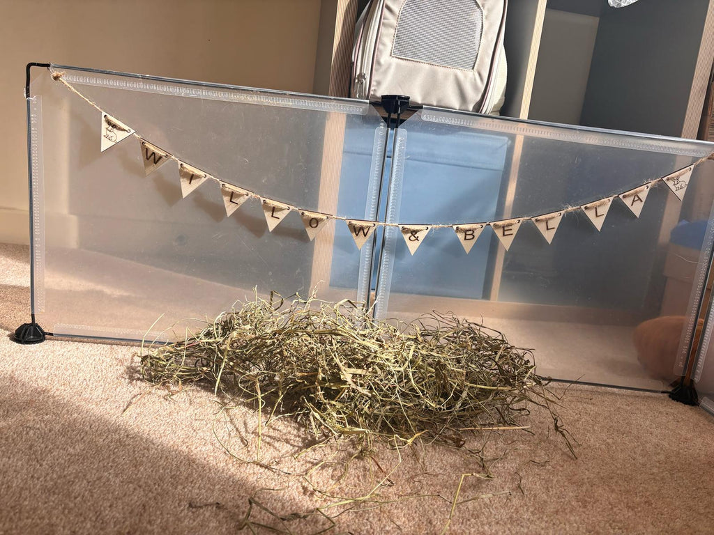 Rabbit Garland, Gift For Cavy Lover, Handmade Rabbit Banner, Rabbit name sign