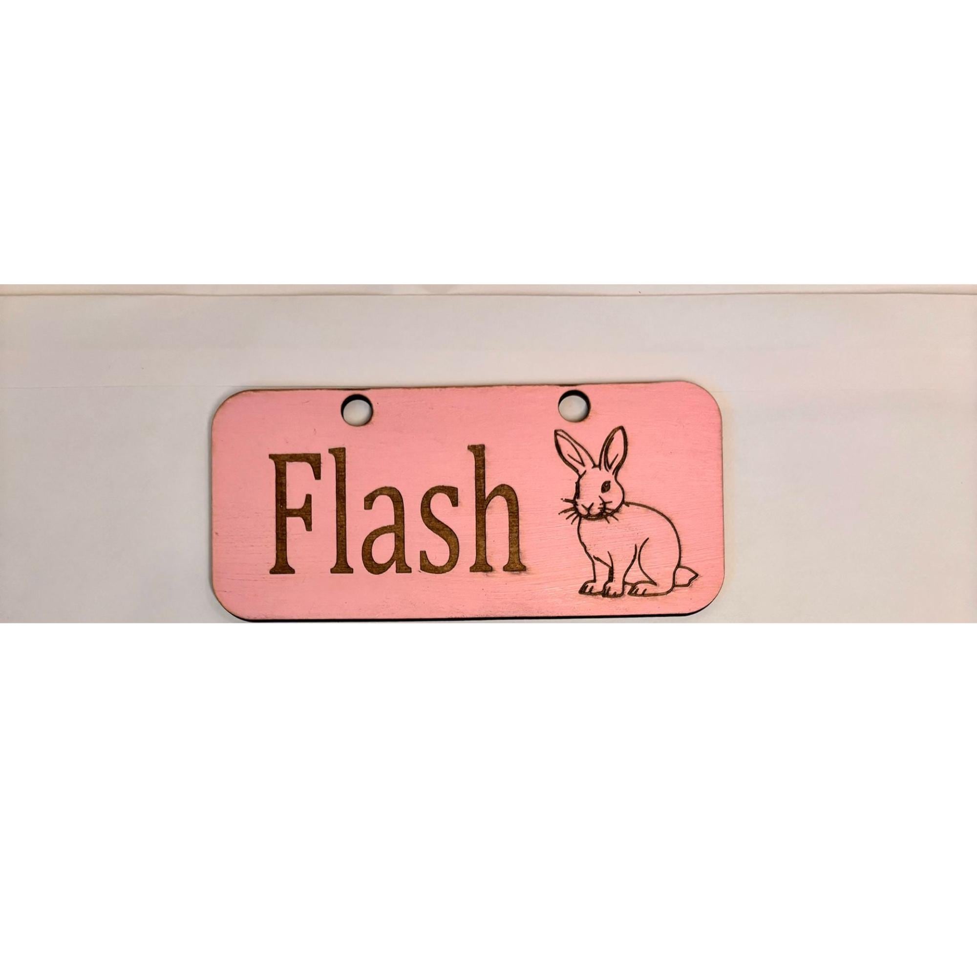 Personalized Rabbit sign & Cage Decoration - Formaldehyde Free Plywood | Custom