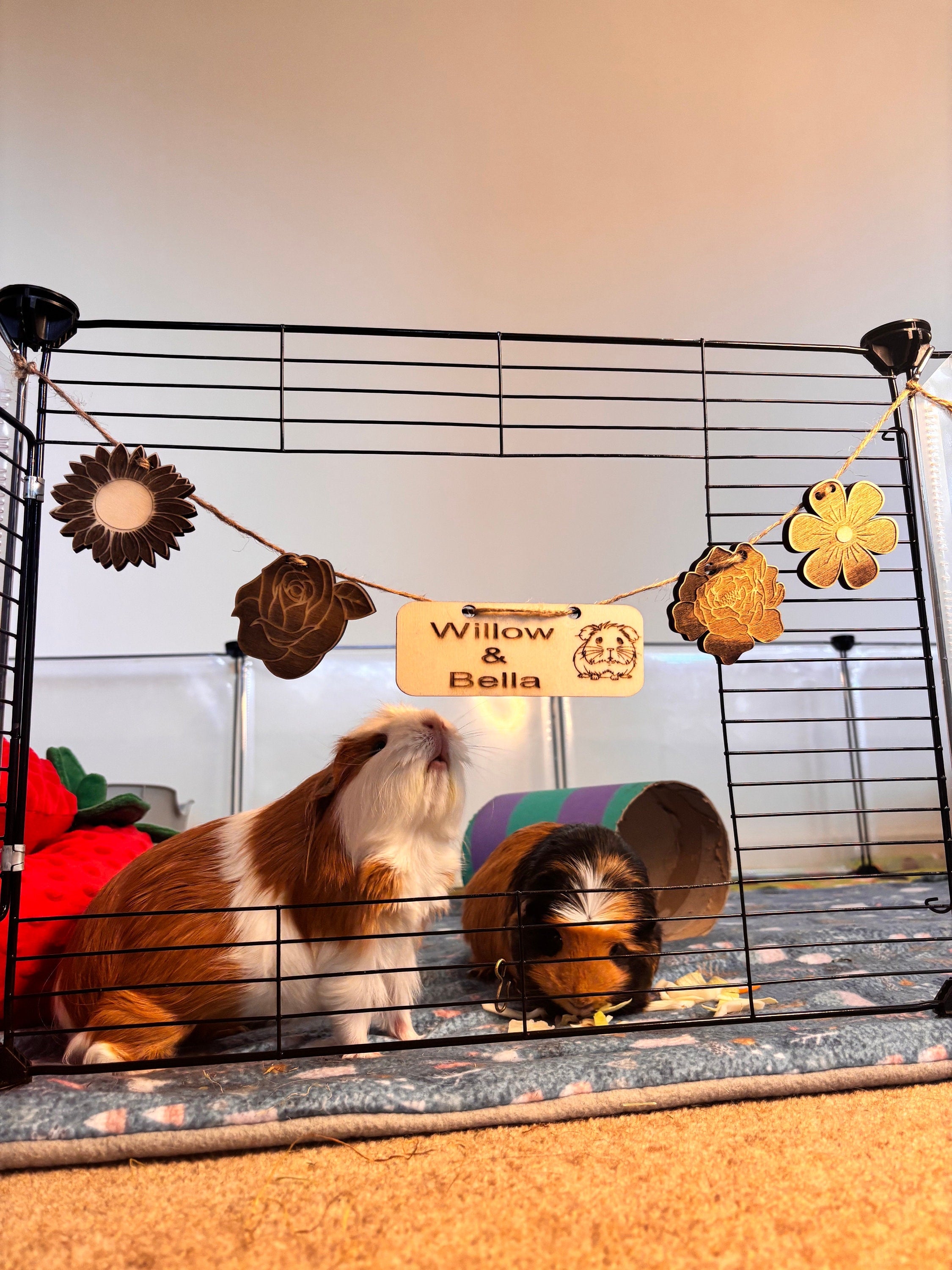 Personalized Guinea Pig and Rabbit Name sign & Cage Decoration - Formaldehyde Free Plywood | Custom