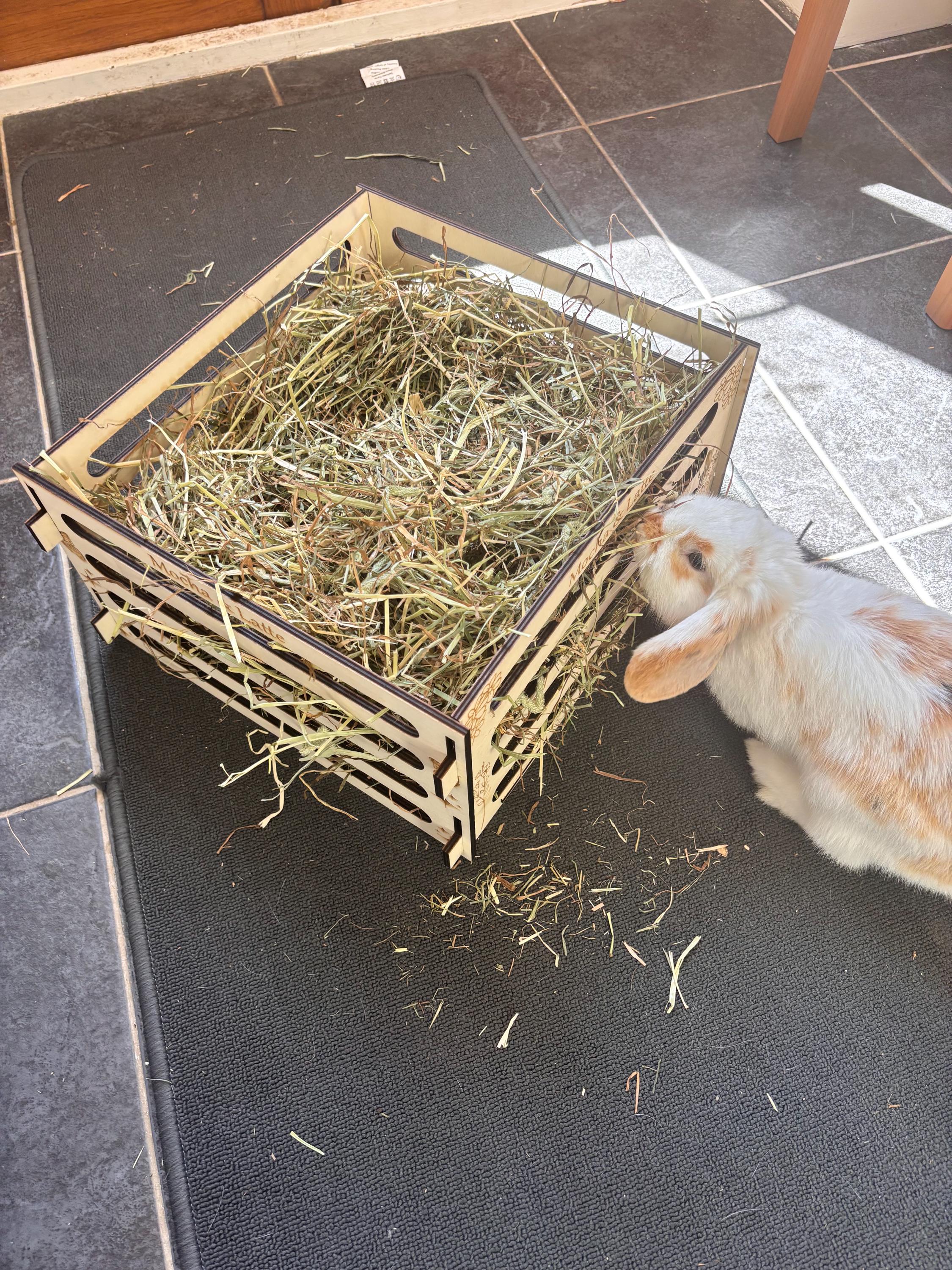 Personalised Rabbit and Guinea Pig Hay Feeder box with Pets' Names- Slot Together, Pet Safe Plywood