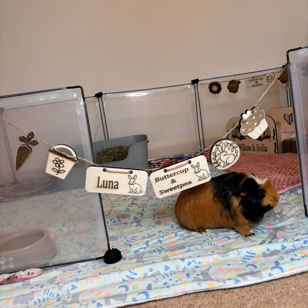 Personalized Rabbit sign & Cage Decoration - Formaldehyde Free Plywood | Custom