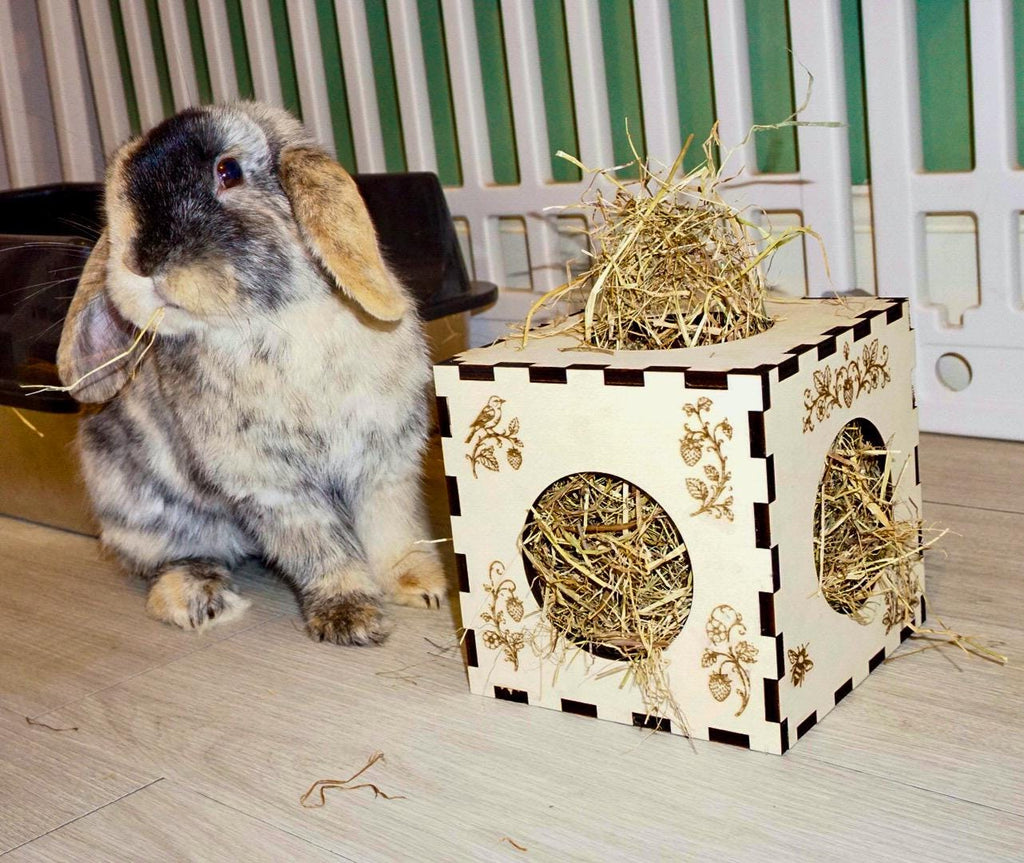Personalized Hay Cube: Rabbit