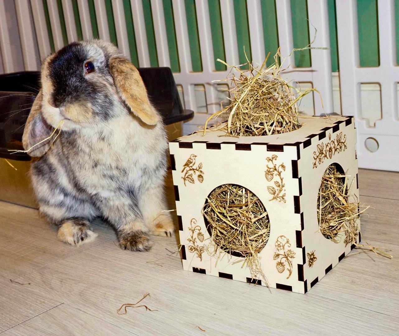 Personalized Hay Cube: Rabbit