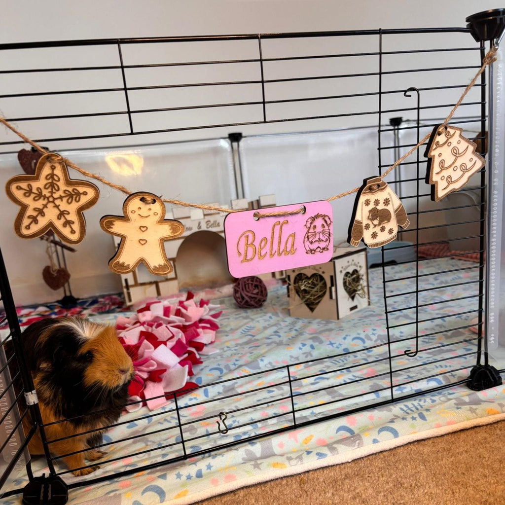 Christmas Personalized Guinea Pig sign & Cage Decoration - Formaldehyde Free Plywood | Custom