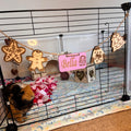 Christmas Personalized Guinea Pig sign & Cage Decoration - Formaldehyde Free Plywood | Custom