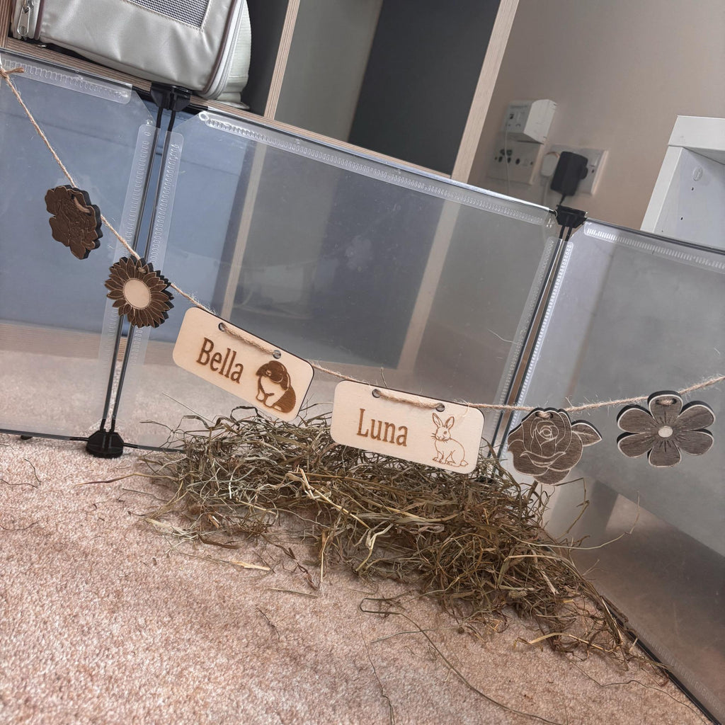 Personalized Rabbit Name sign & Cage Decoration - Formaldehyde Free Plywood | Custom