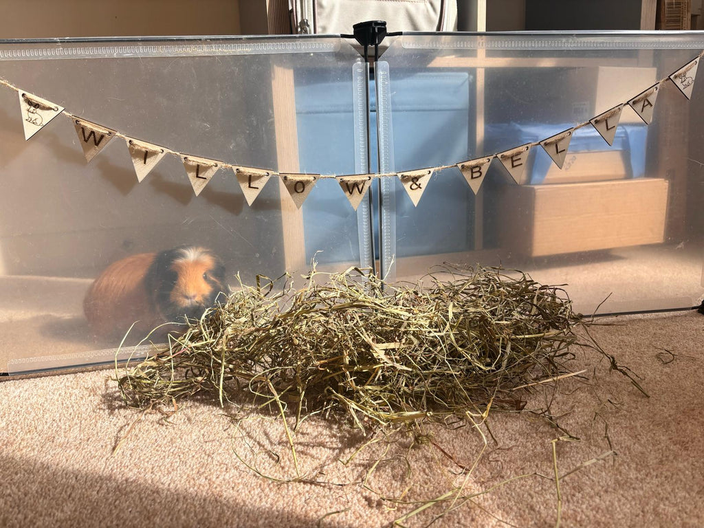 Rabbit Garland, Gift For Cavy Lover, Handmade Rabbit Banner, Rabbit name sign