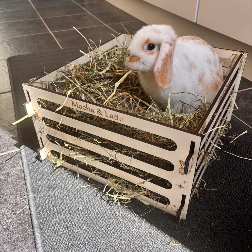 Personalised Rabbit and Guinea Pig Hay Feeder box with Pets' Names- Slot Together, Pet Safe Plywood