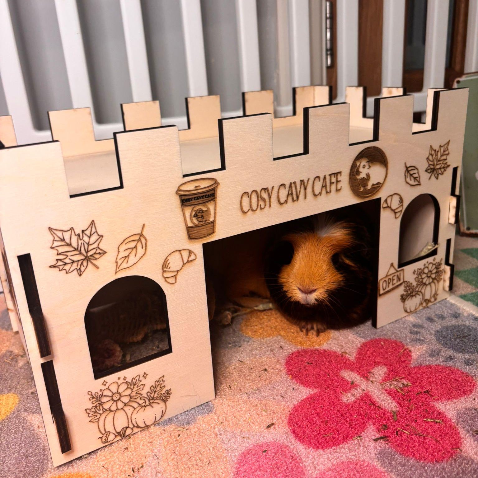 Guinea Pig Coffee Shop Hidey House - Formaldehyde Free, Non Toxic, Wooden, Slot Together & Modular