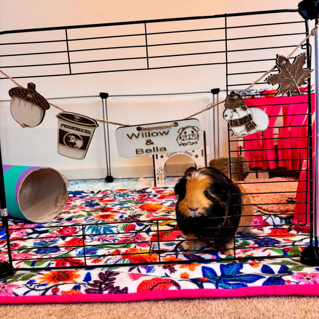 Pick and Choose Chew Toy Personalized Guinea Pig sign & Cage Decoration