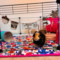 Pick and Choose Chew Toy Personalized Guinea Pig sign & Cage Decoration