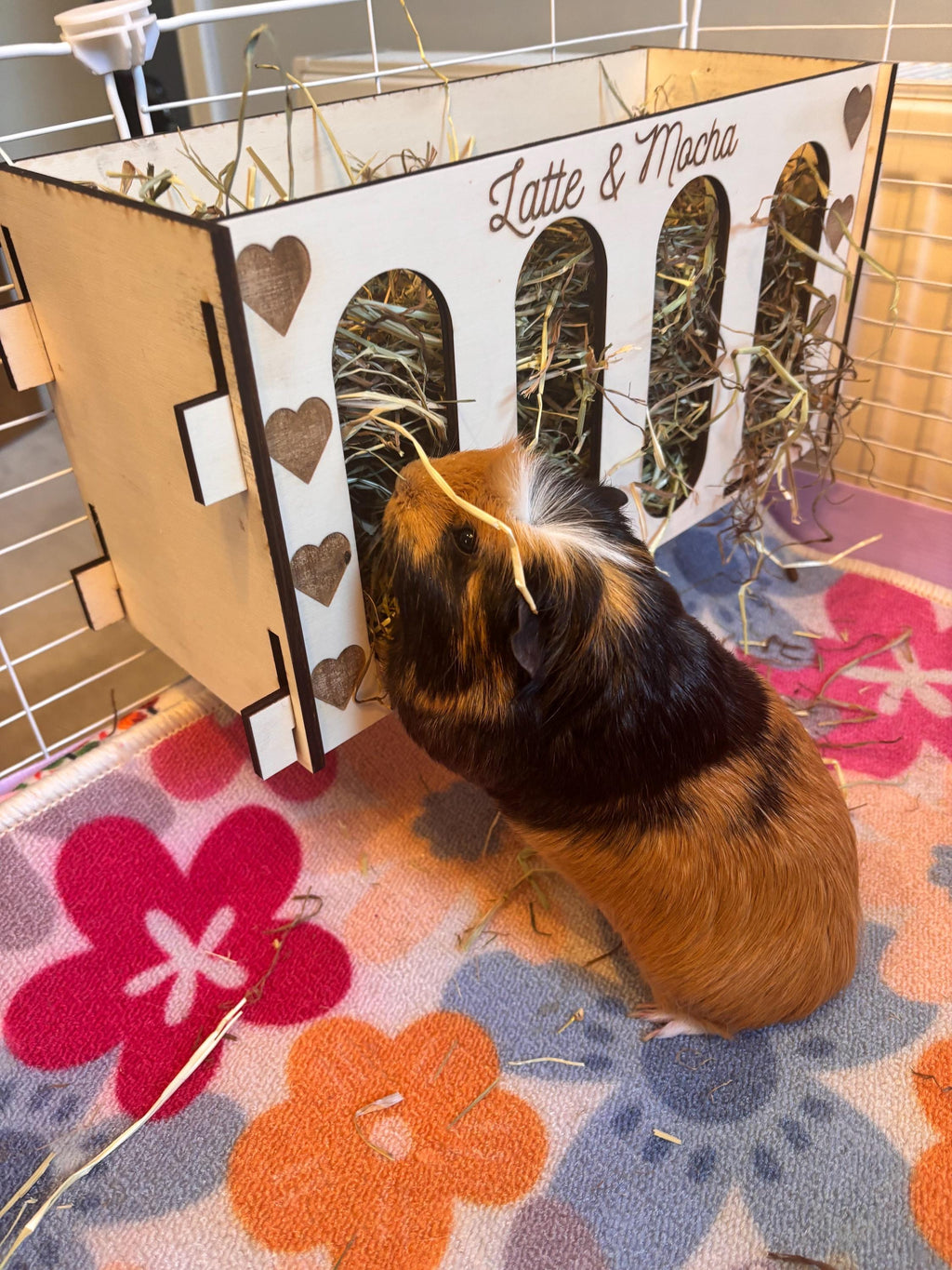 Rabbit and Guinea Pig Hay Feeder with Pets Names- Slot Together, Pet Safe Plywood
