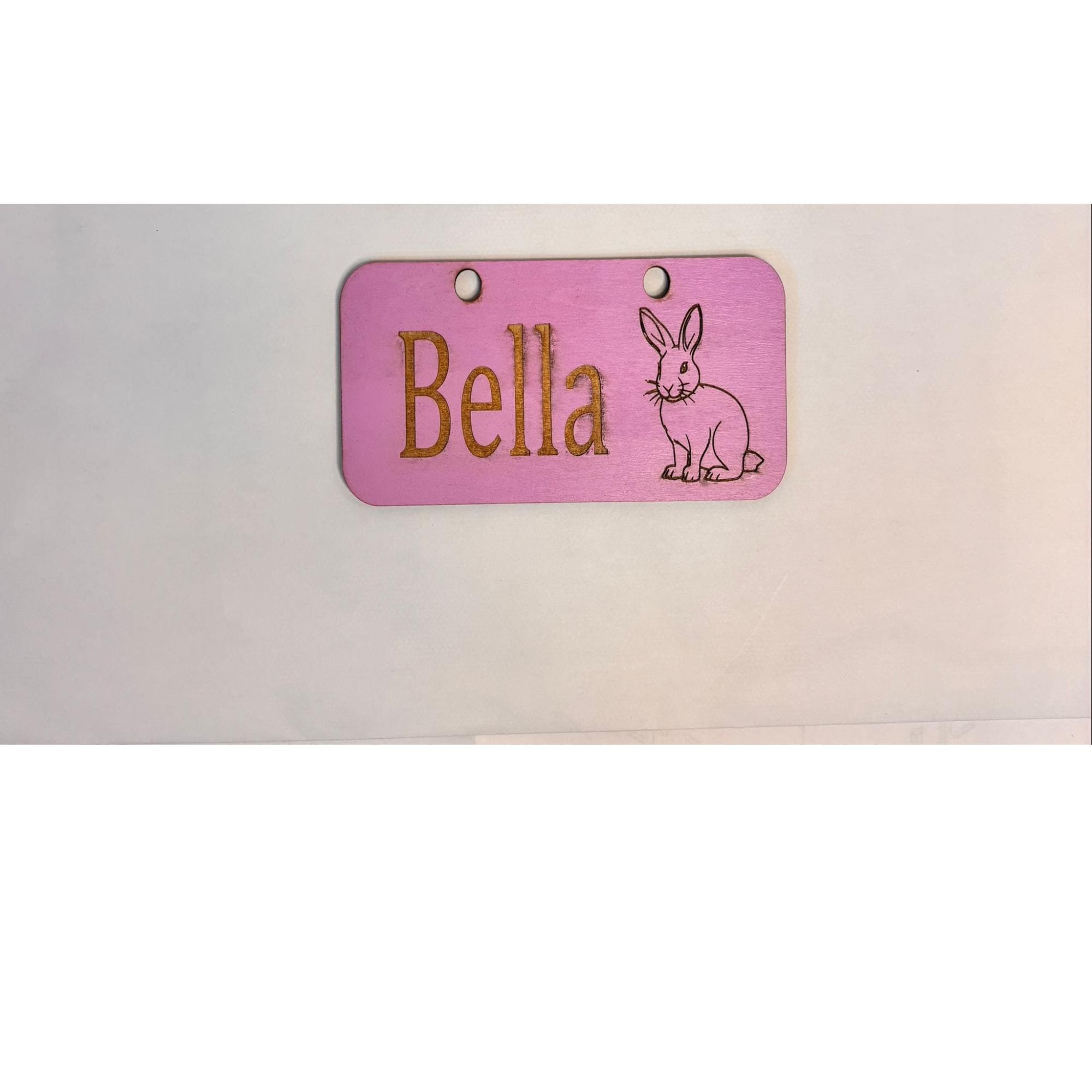Personalized Rabbit sign & Cage Decoration - Formaldehyde Free Plywood | Custom