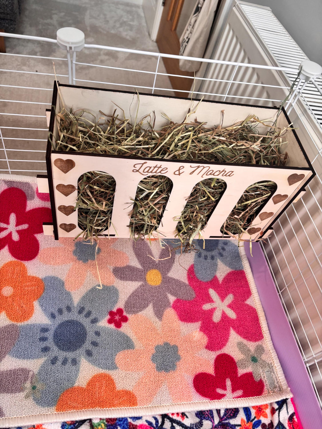 Rabbit and Guinea Pig Hay Feeder with Pets Names- Slot Together, Pet Safe Plywood