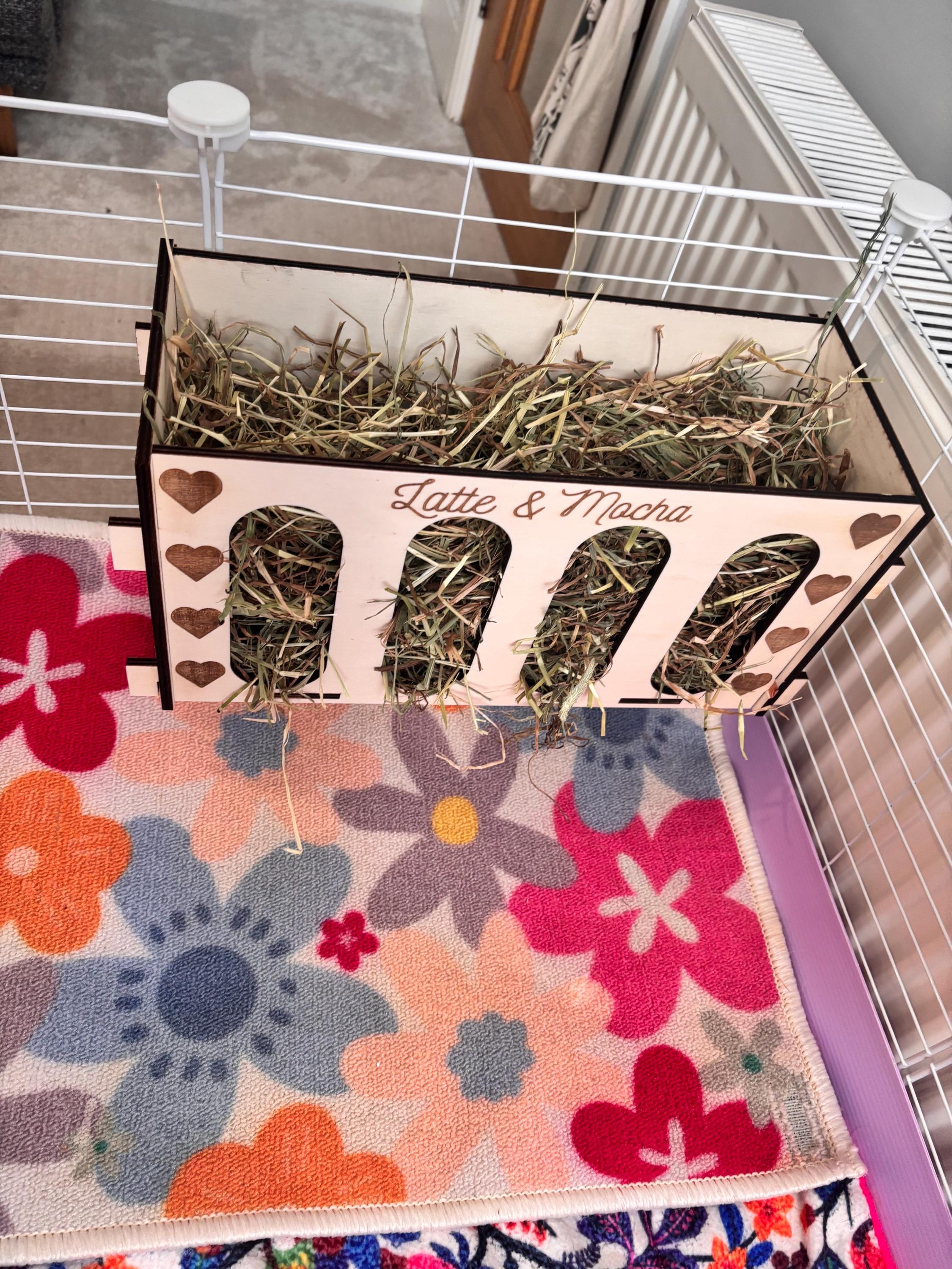 Rabbit and Guinea Pig Hay Feeder with Pets Names- Slot Together, Pet Safe Plywood