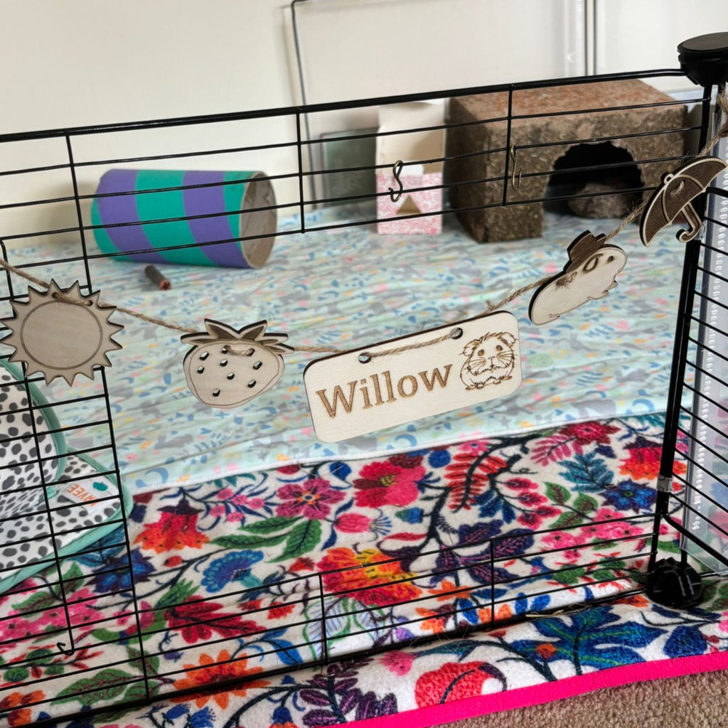 Personalized Guinea Pig Name sign & Chew Toy - Formaldehyde Free Plywood | Custom