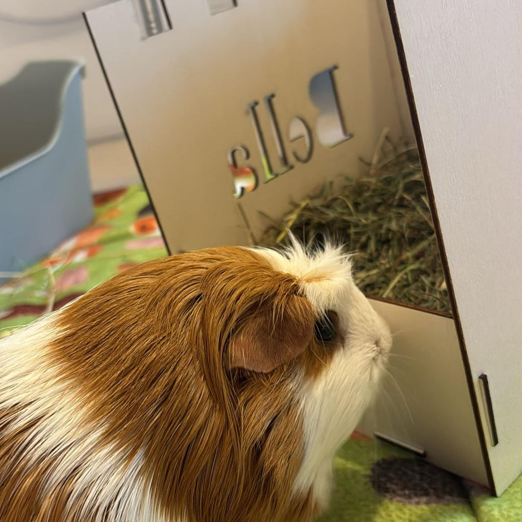 Small Animal Hay Feeder suitable for Guinea Pigs,  This hay feeder is personalised with your guinea pig's name on the side and front.