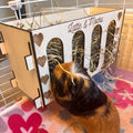 Rabbit and Guinea Pig Hay Feeder Spare parts
