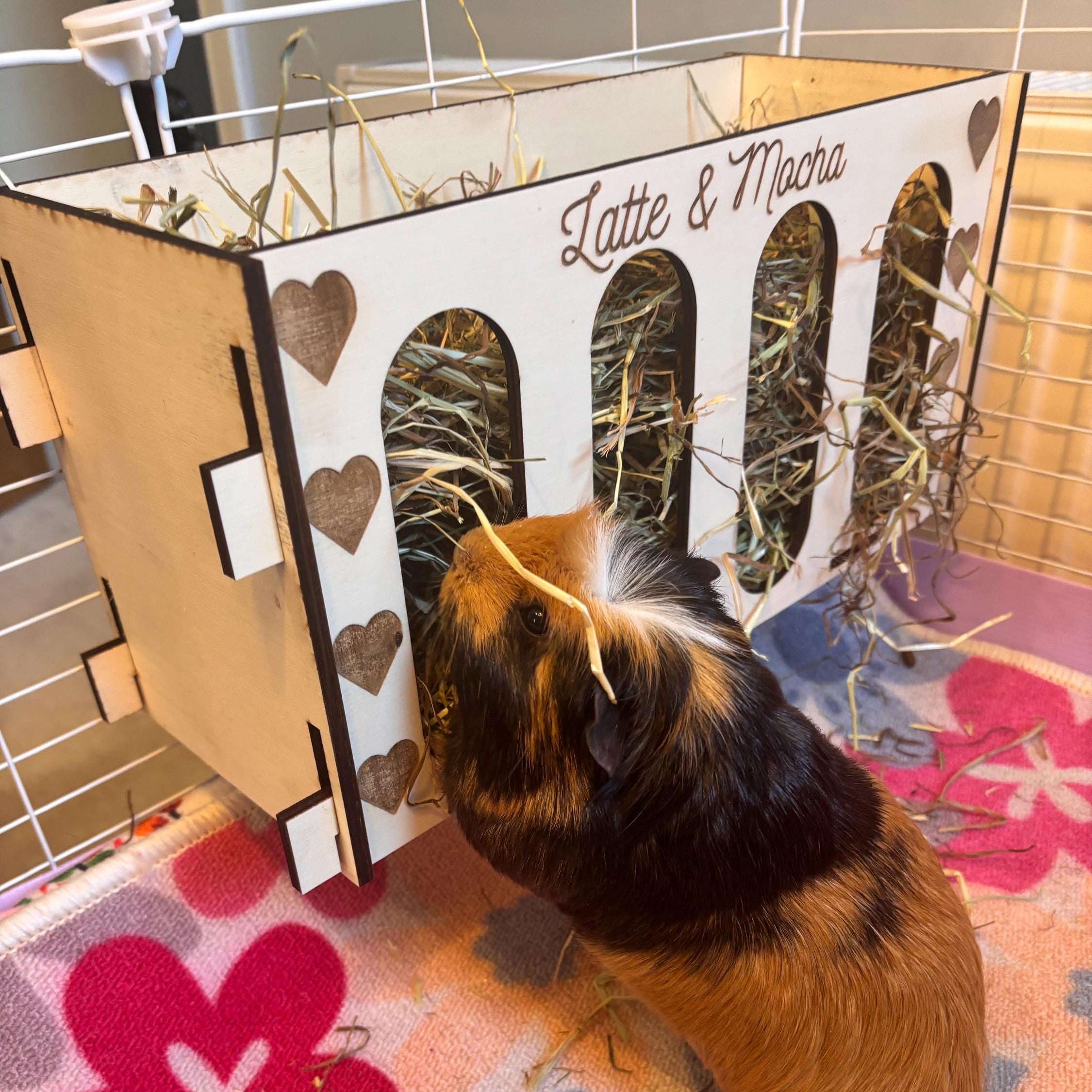 Rabbit and Guinea Pig Hay Feeder Spare parts