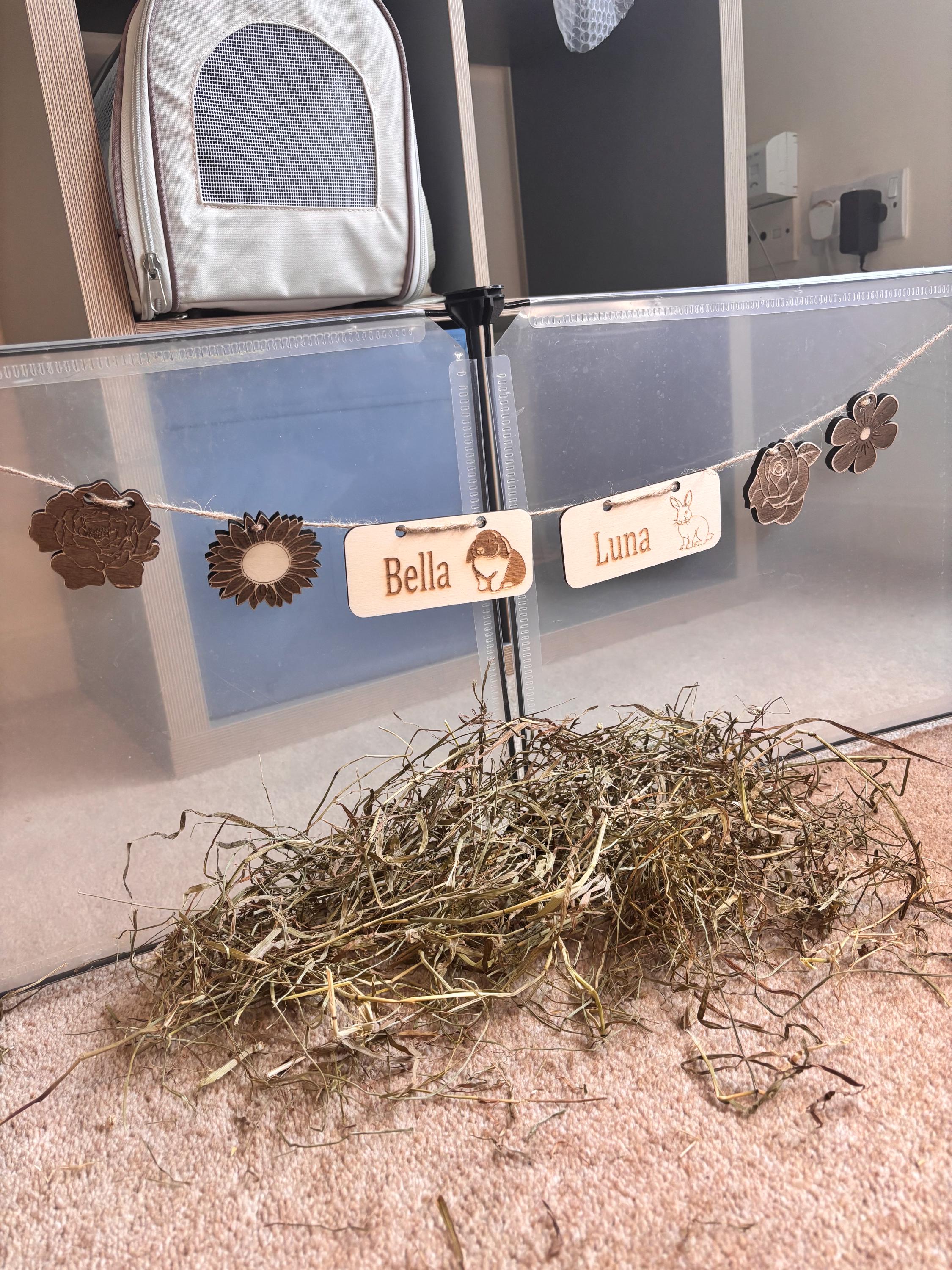 Personalized Rabbit Name sign & Cage Decoration - Formaldehyde Free Plywood | Custom