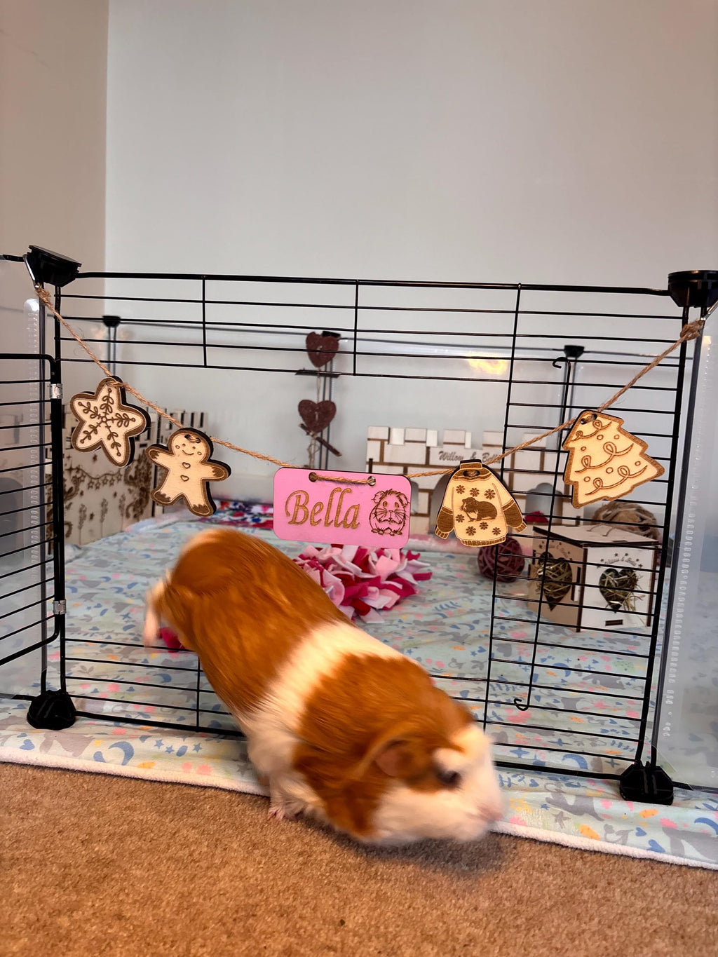 Christmas Personalized Guinea Pig sign & Cage Decoration - Formaldehyde Free Plywood | Custom
