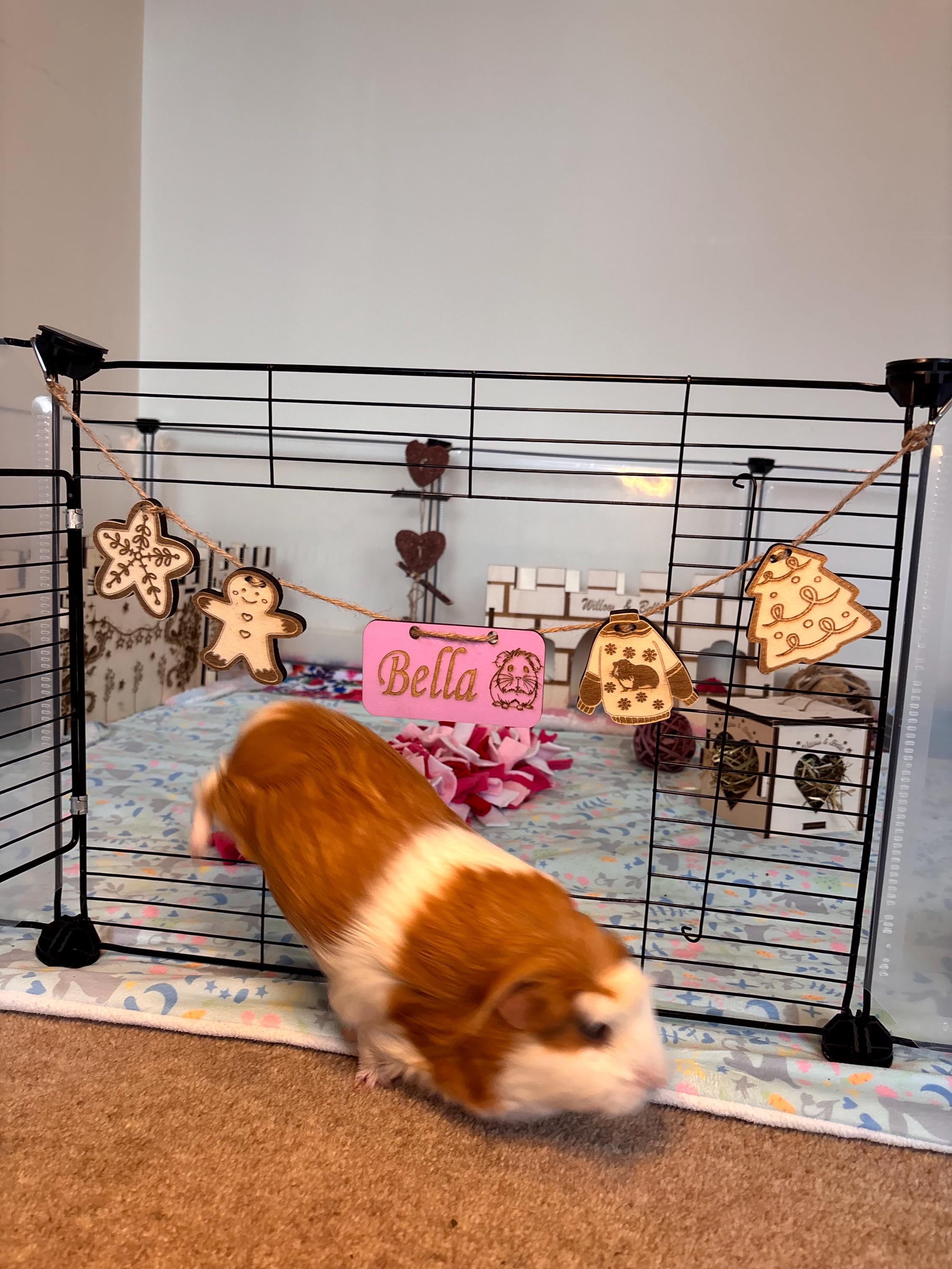Christmas Personalized Guinea Pig sign & Cage Decoration - Formaldehyde Free Plywood | Custom