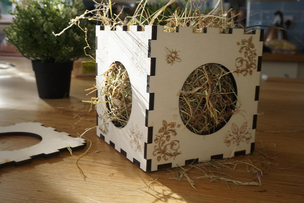 Personalized Hay Cube: Guinea Pig