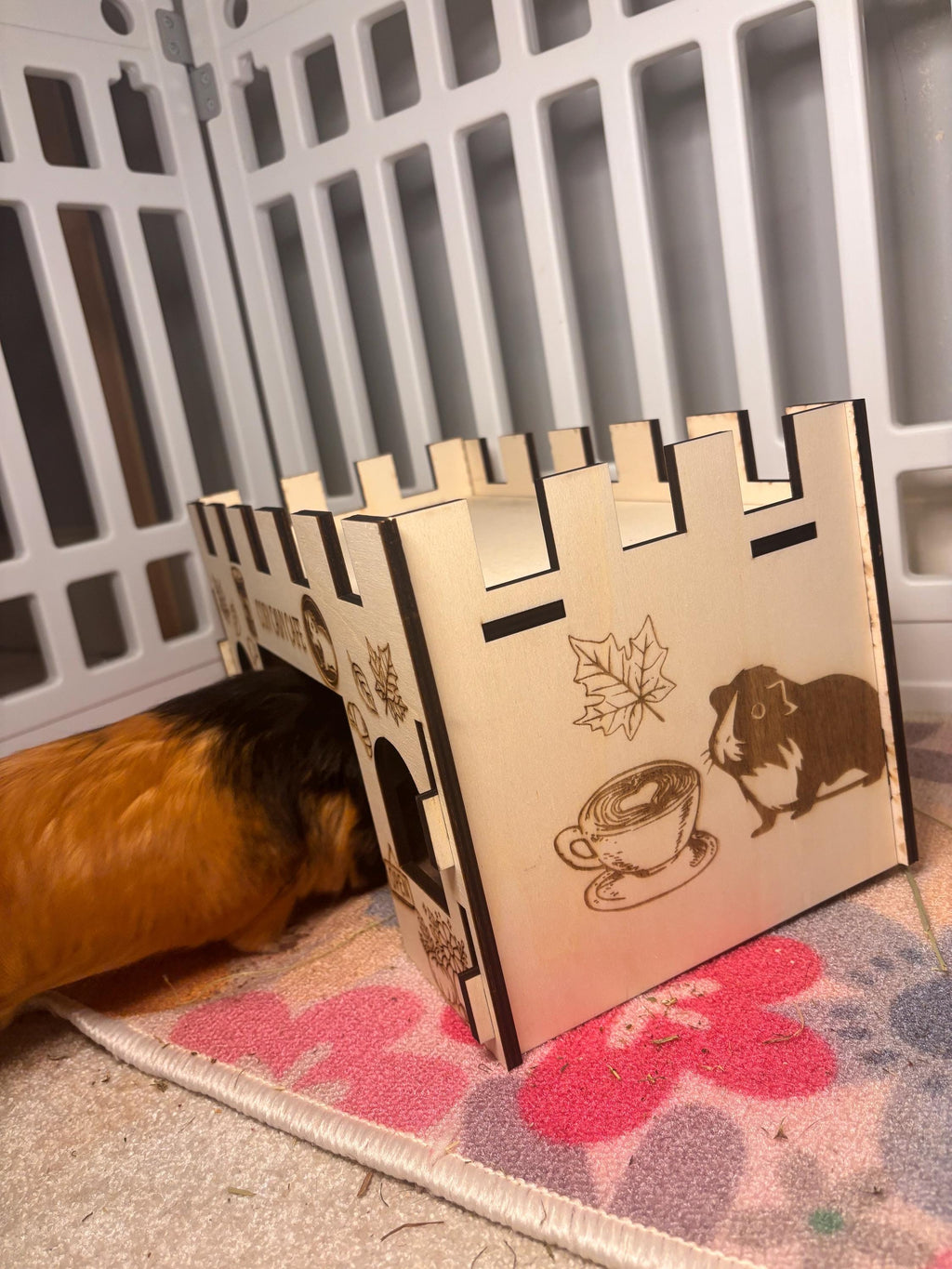 Guinea Pig Coffee Shop Hidey House - Formaldehyde Free, Non Toxic, Wooden, Slot Together & Modular