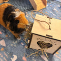 Cozy Hay Cube for Small Pets: Keep Your Guinea Pig or Hamster Happy and Healthy (READ dimensions in description before purchase)