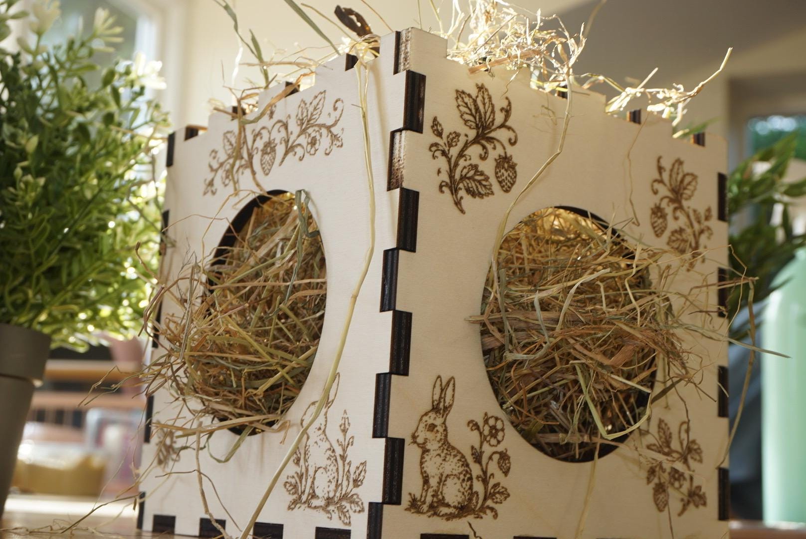 Personalized Hay Cube: Rabbit