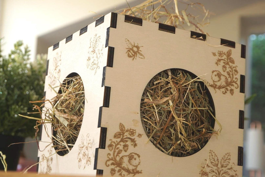 Personalized Hay Cube: Guinea Pig