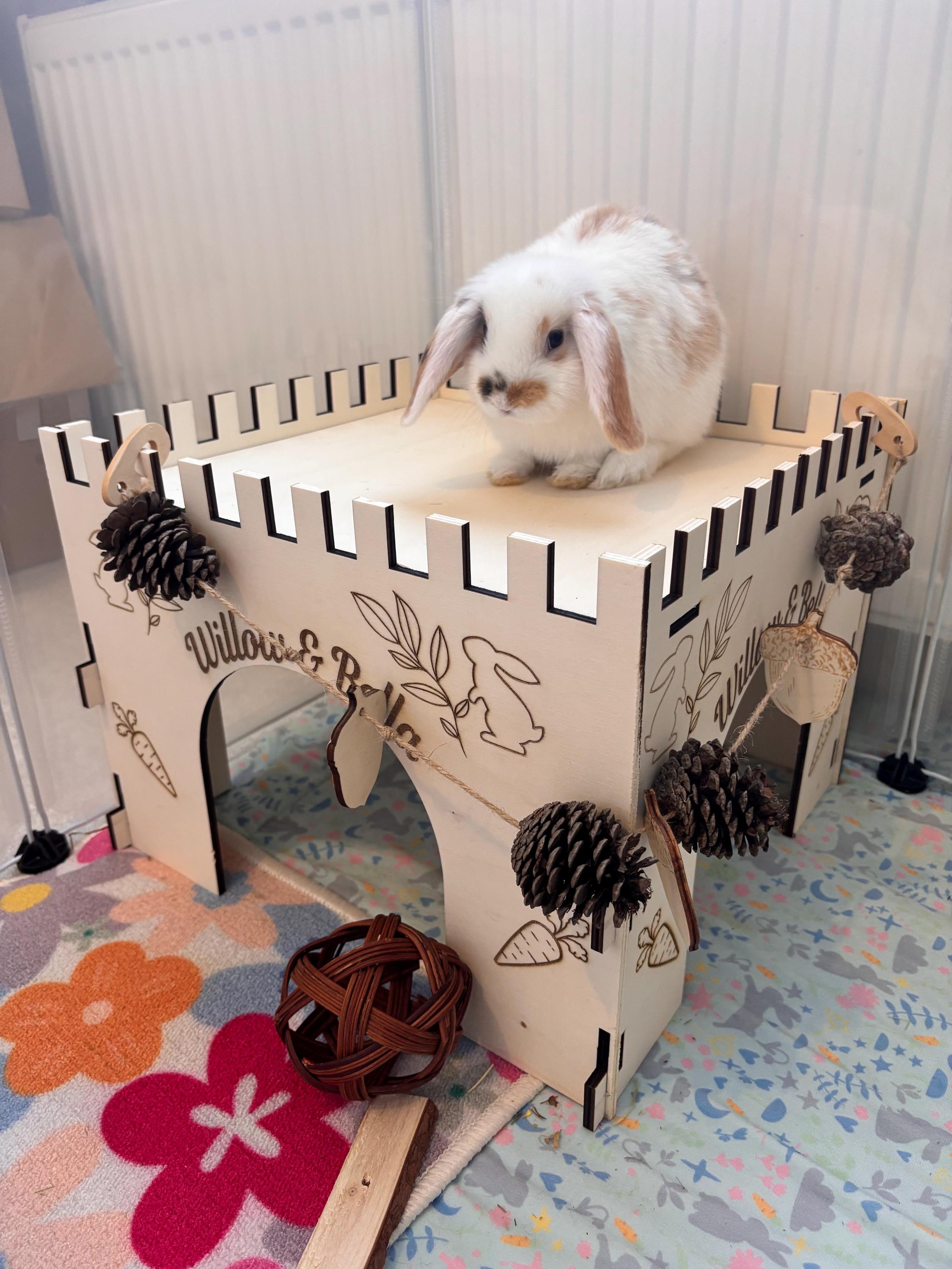 Animal Castle is suitable for Rabbits,  This Castle is personalised with your Animal's name on the Front and side.