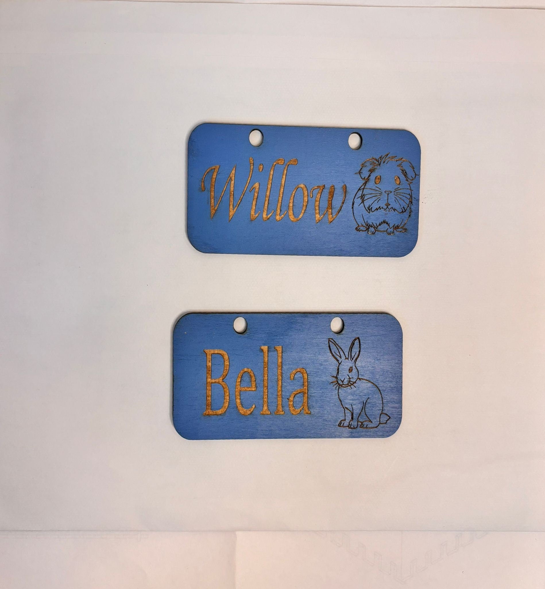 Personalized Rabbit Name sign & Cage Decoration - Formaldehyde Free Plywood | Custom